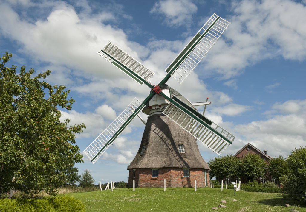 Wittmund (NI), 1820 erbauter reetgedeckter Erdholländer mit Steert. Die Mühlentechnik ist bis heute erhalten, aber nicht mehr funktionsfähig. Holländerwindmühlen verdrängten im 16. Jh. die vorher existierenden Bockwindmühlen und verdanken ihren Namen dem niederländischen Erfinder der drehbaren Kappe. Förderprojekt der Deutschen Stiftung Denkmalschutz. © ML Preiss, Deutsche Stiftung Denkmalschutz