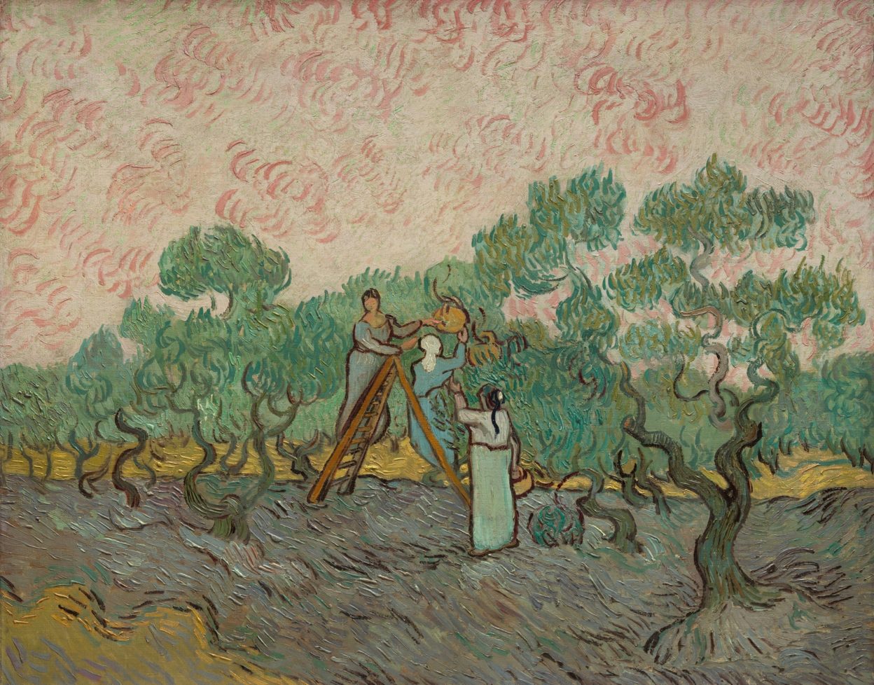 Women Picking Olives (1889) Vincent van Gogh (Dutch, 1853-1890)