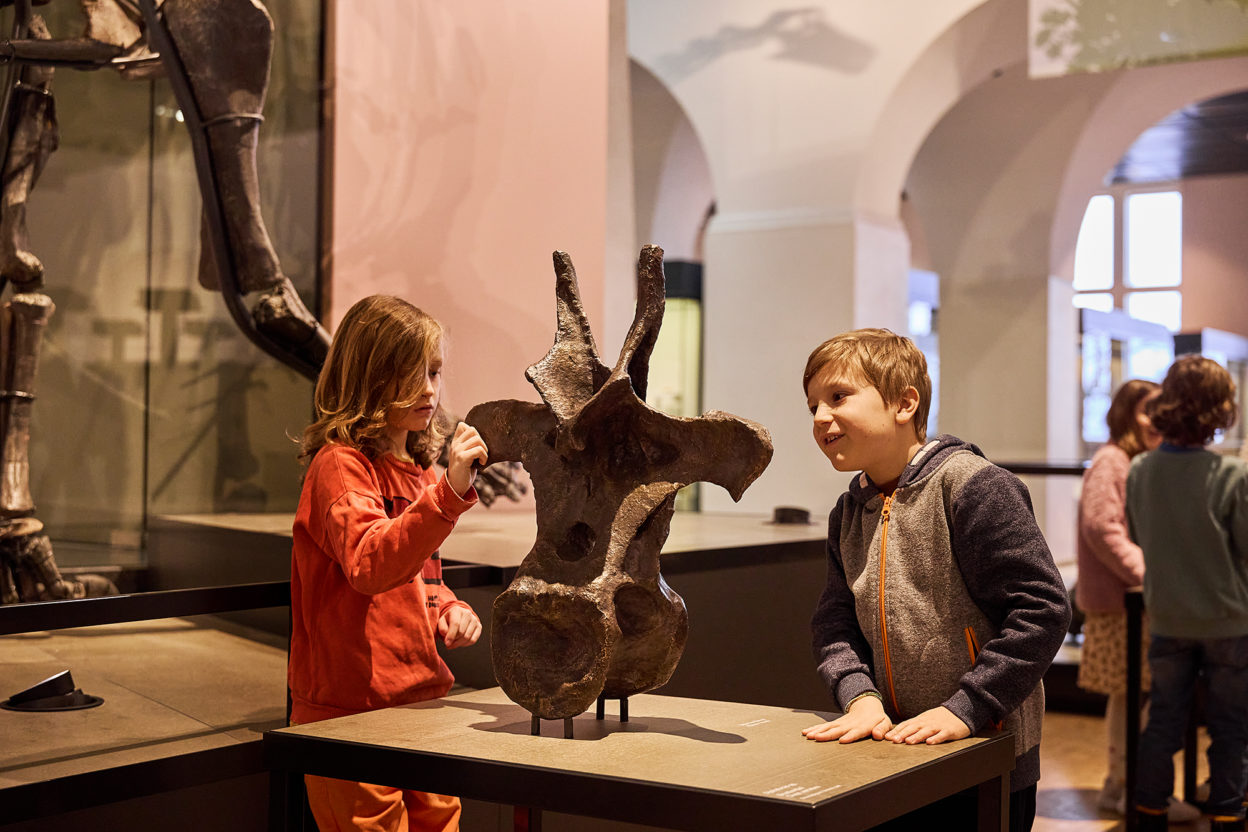 Bronzewirbel des Diplodocus zum Anfassen für Menschen mit und ohne Sehbehinderung (Bild: Michele Di Fede / UZH)