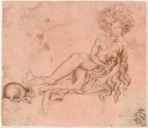 Leonardo – Dürer: Meisterzeichnungen der Renaissance auf farbigem Grund