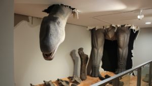 Ein neues Kapitel der Erdgeschichte: El Paleontològic-Museu de Col·leccions Naturals in Valencia