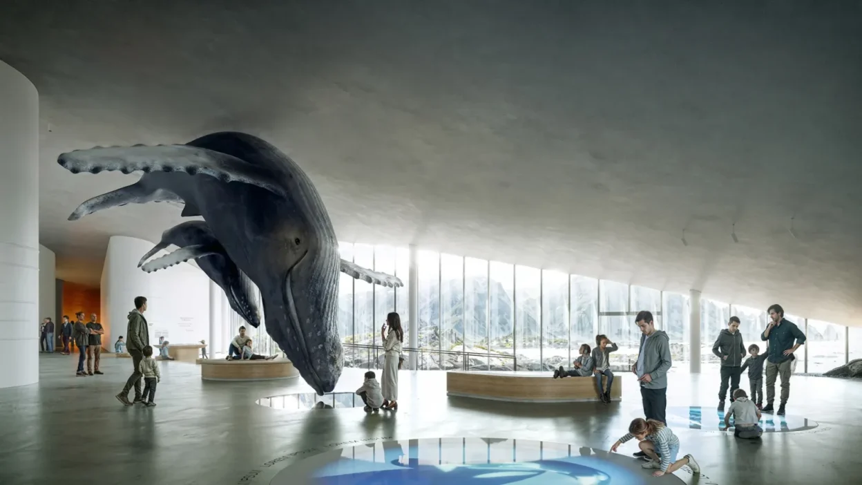 Large suspended whale sculpture in a bright, modern gallery with visitors, benches, and panoramic mountain view windows.