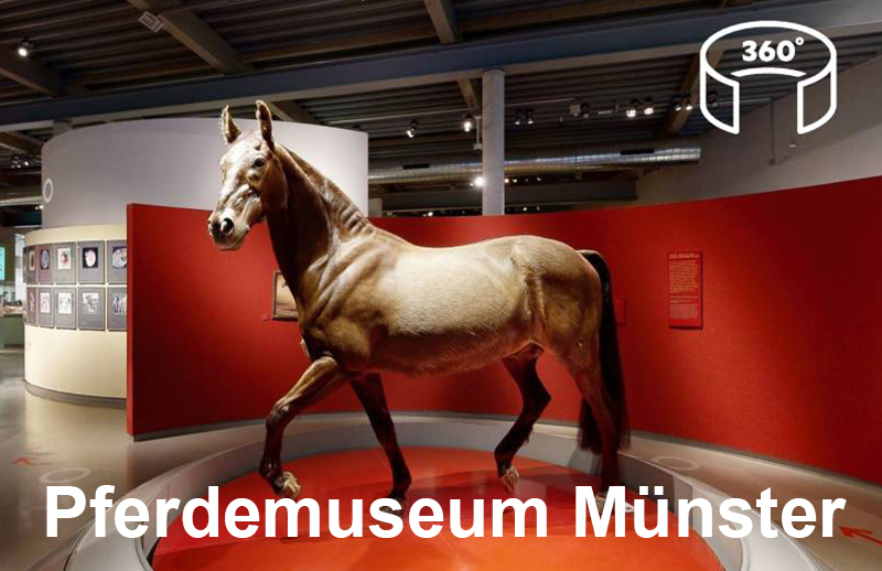 Virtueller Rundgang Pferdemuseum Münster